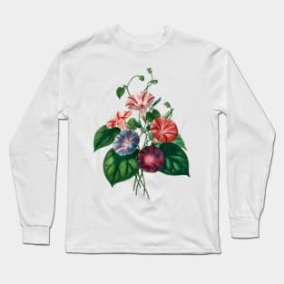 Morning-glory (Pharbitis hispida)- Botanical Illustration Long Sleeve T-Shirt